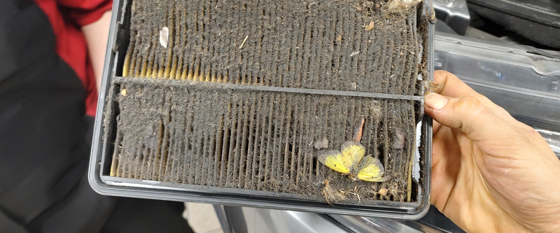 What Happens When You Drive With a Dirty Air Filter?