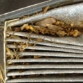 What Happens When Your Car AC Filter is Dirty?
